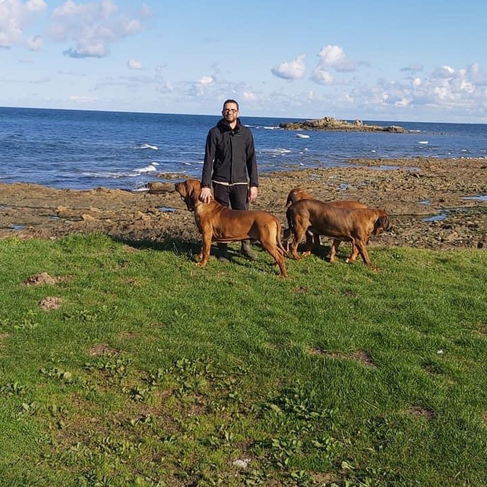 Éleveur et ses Fila Brasileiro au bord de mer dans le Cotentin